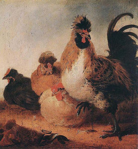Aelbert Cuyp Rooster and Hens.